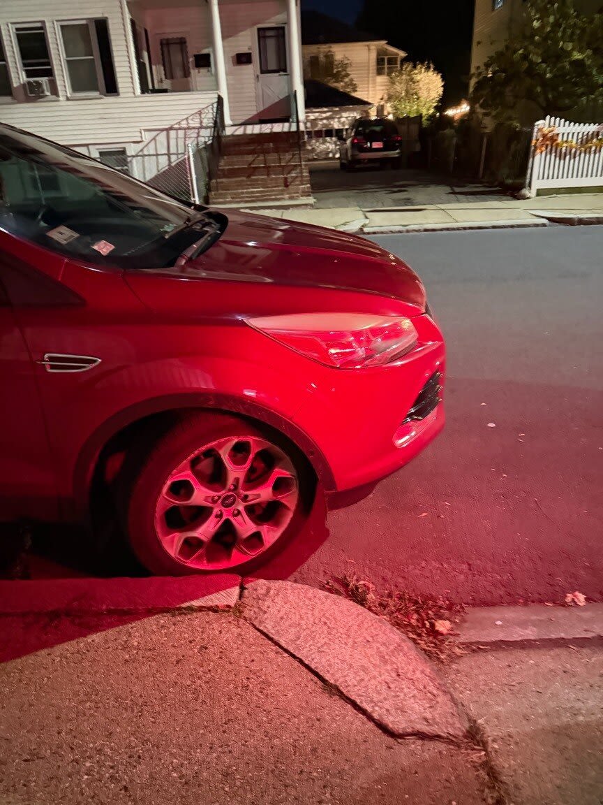 Image submitted with report
