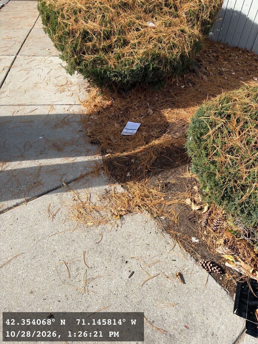 Image submitted with report