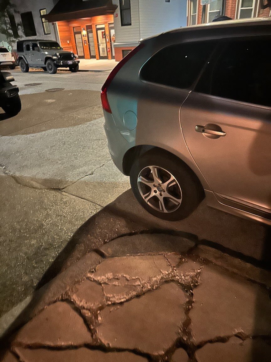 Image submitted with report