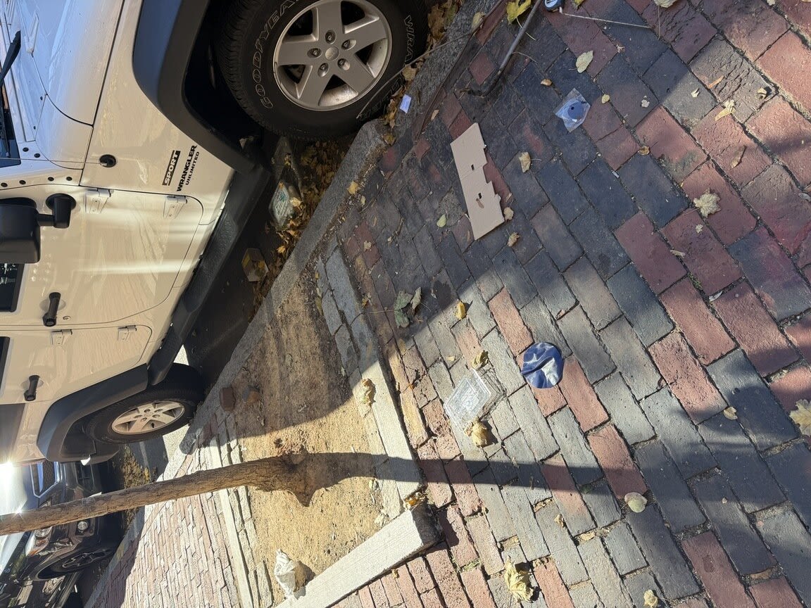 Image submitted with report