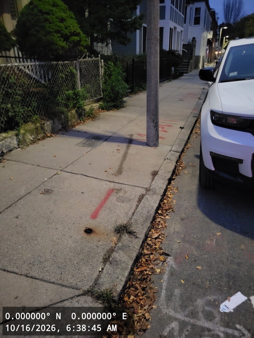 Image submitted with report