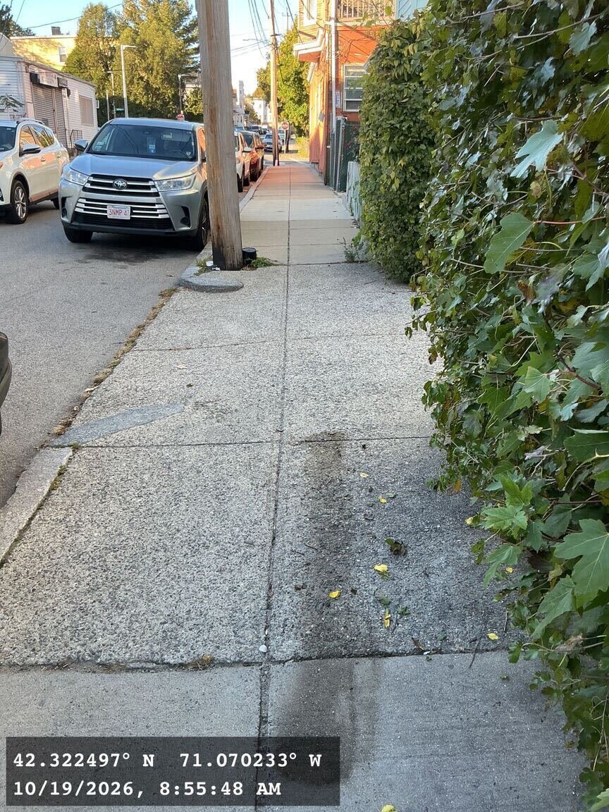 Image submitted with report