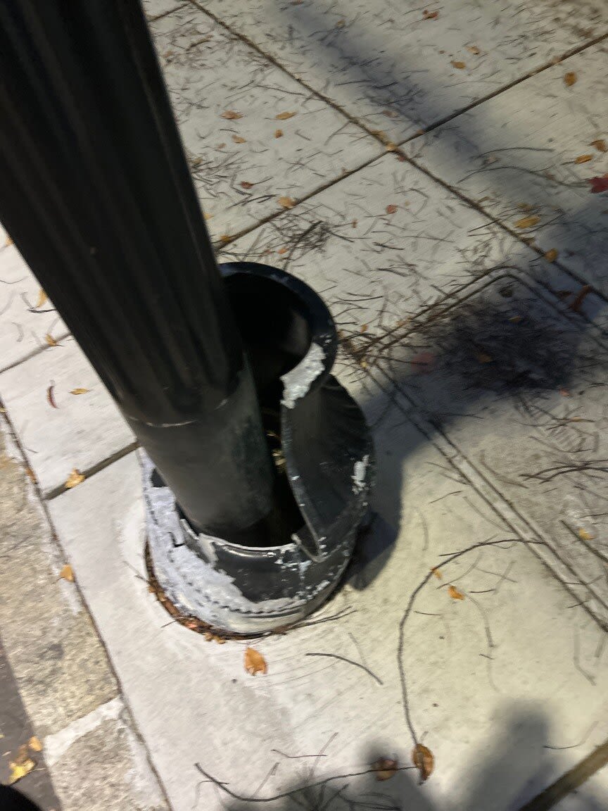 Image submitted with report