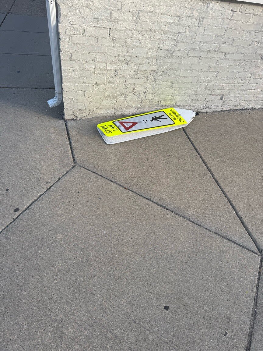 Image submitted with report