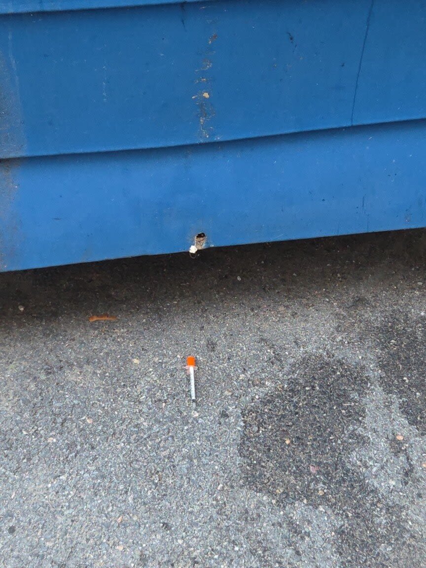 Image submitted with report