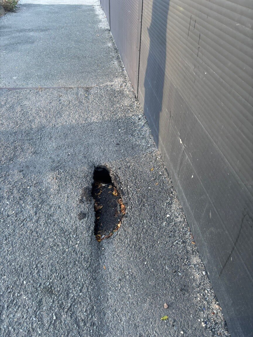 Image submitted with report