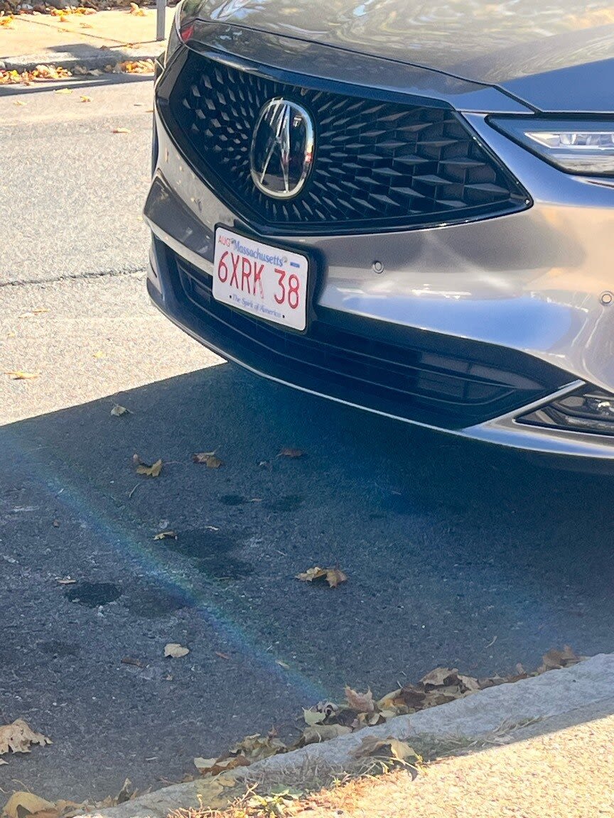 Image submitted with report