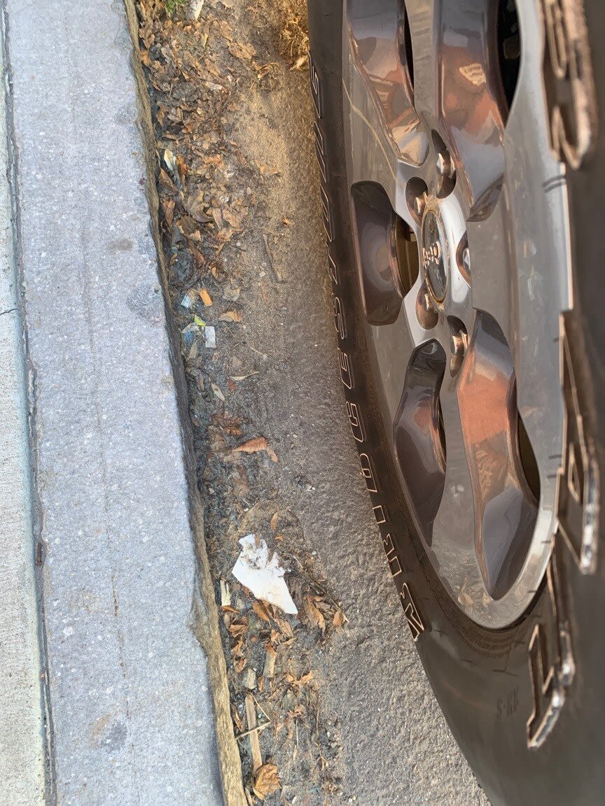 Image submitted with report