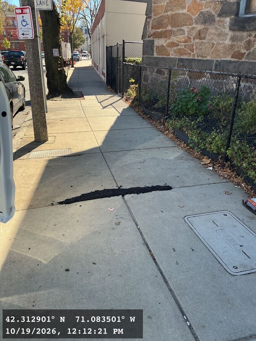Image submitted with report