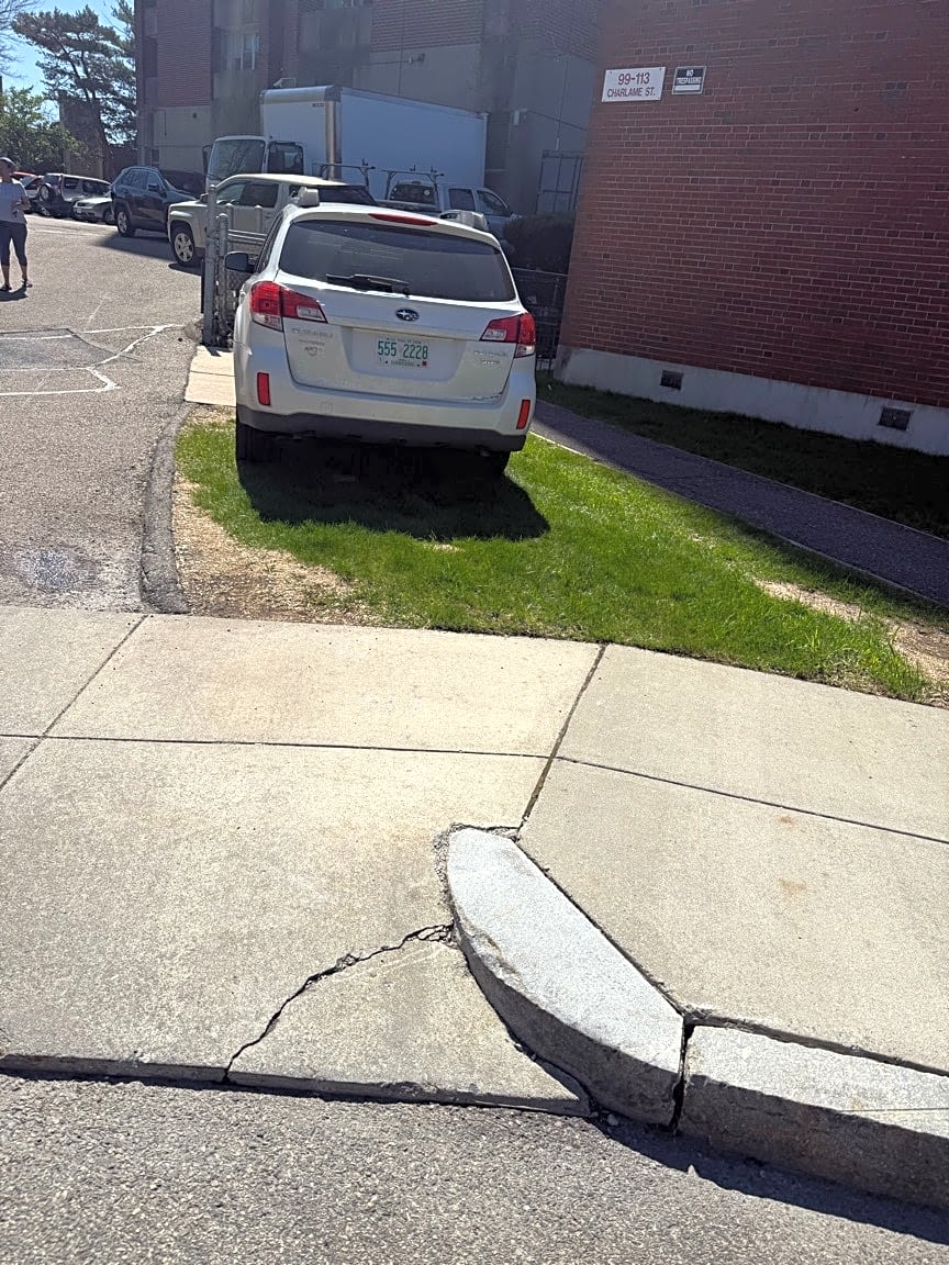 Image submitted with report