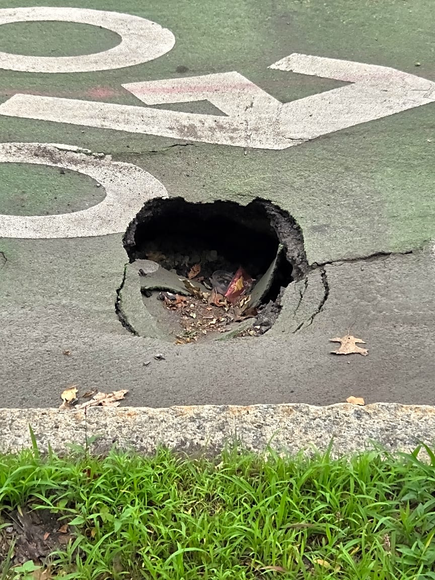 Image submitted with report