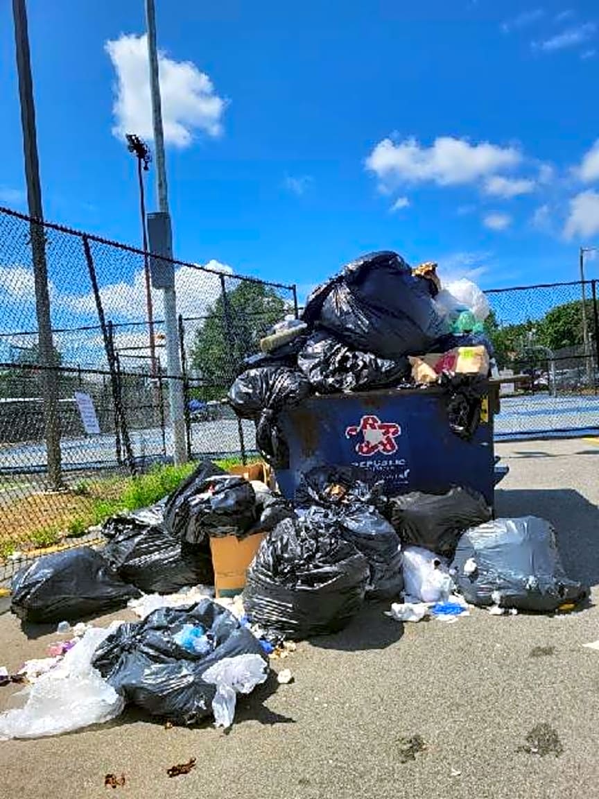 Image submitted with report