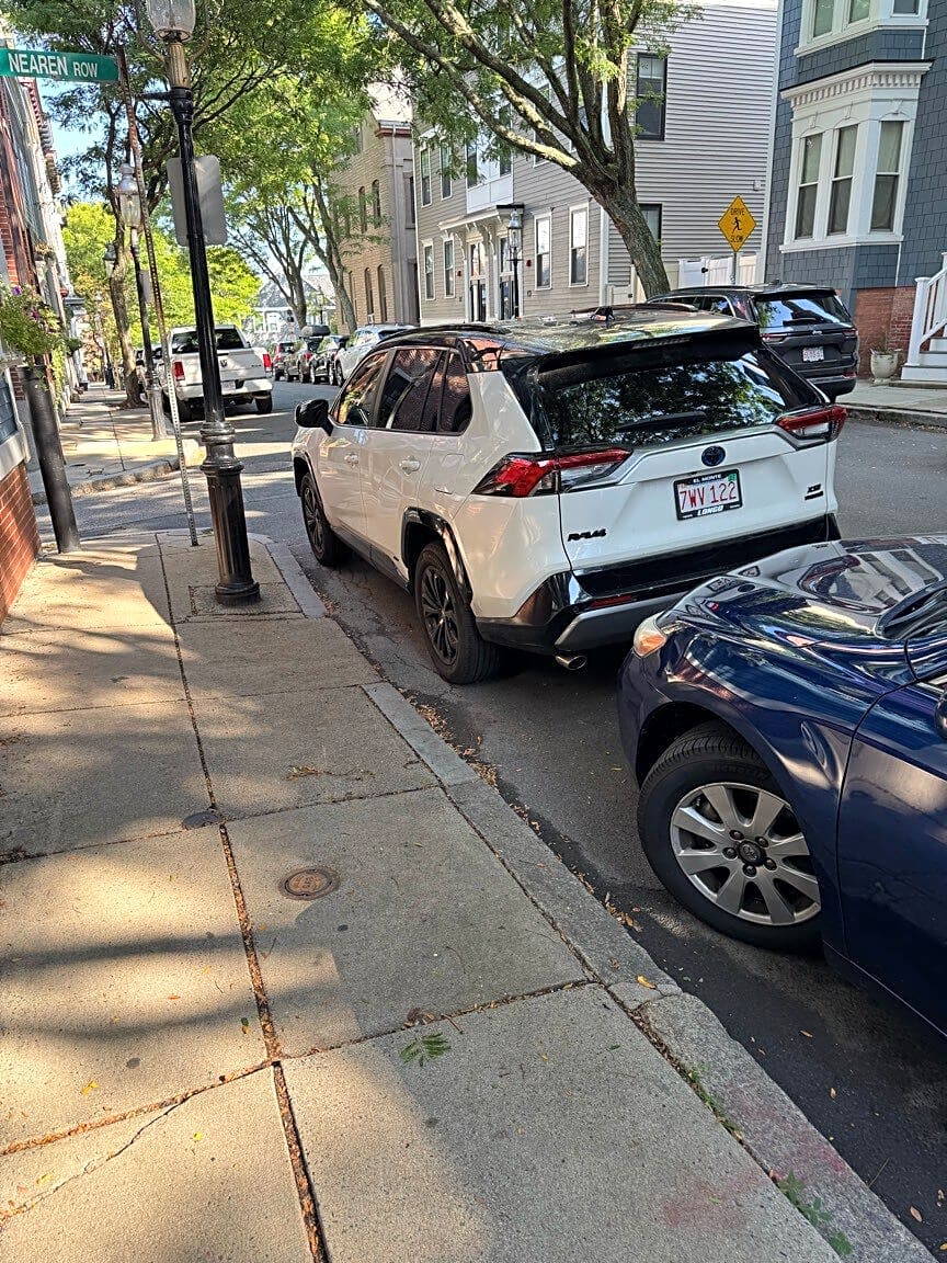 Image submitted with report