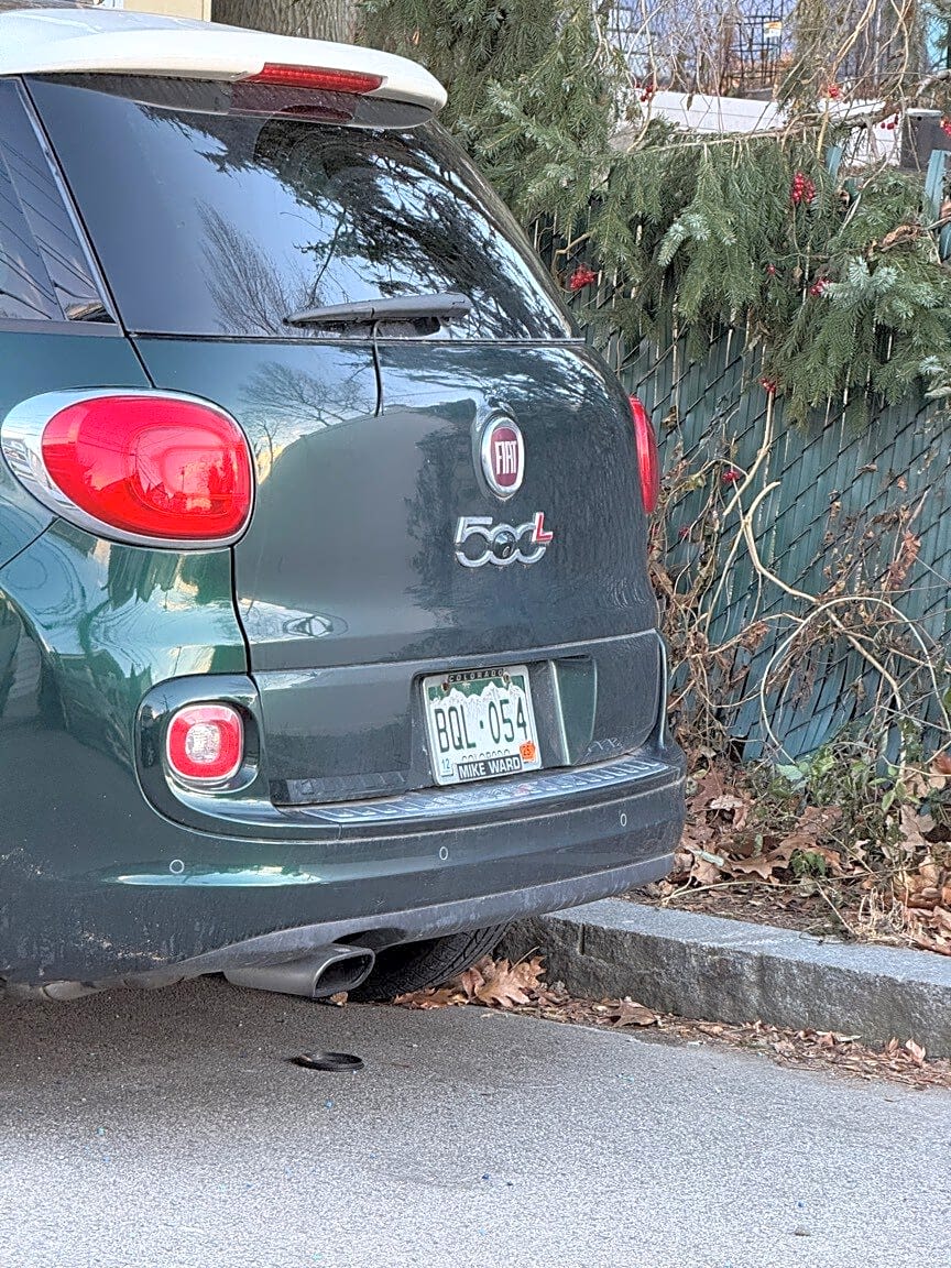 Image submitted with report