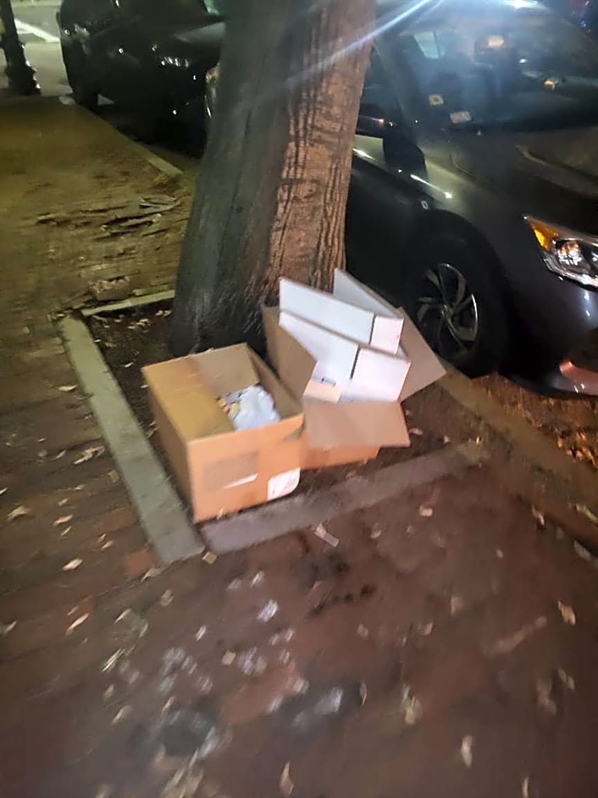 Image submitted with report
