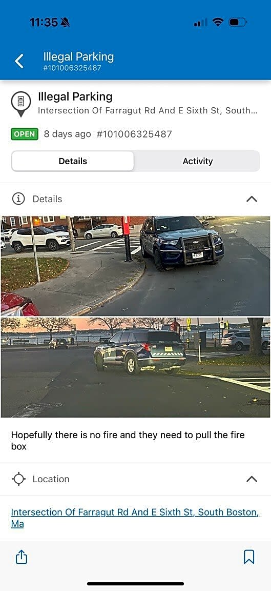 Image submitted with report
