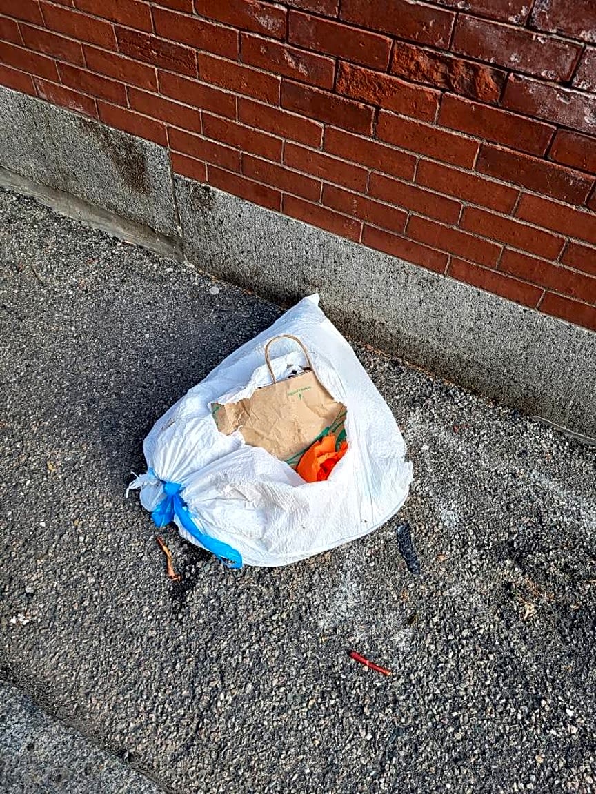 Image submitted with report