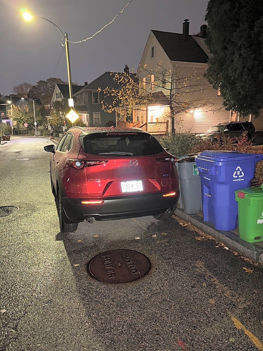 Image submitted with report