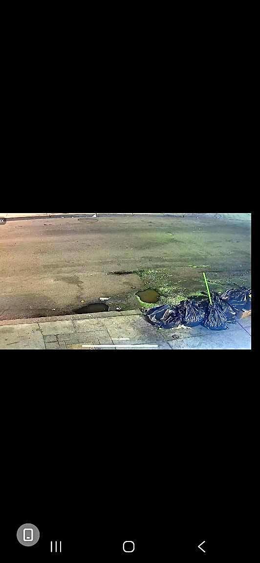 Image submitted with report