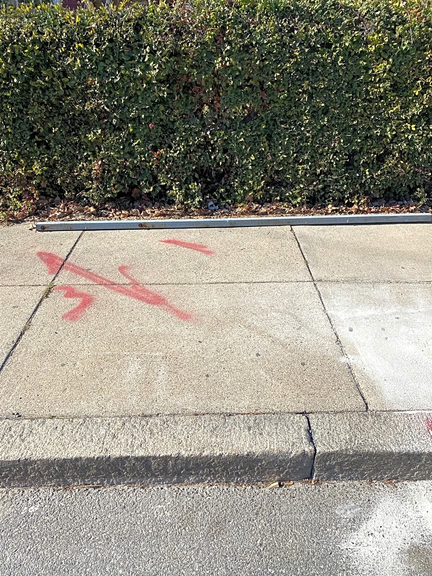 Image submitted with report