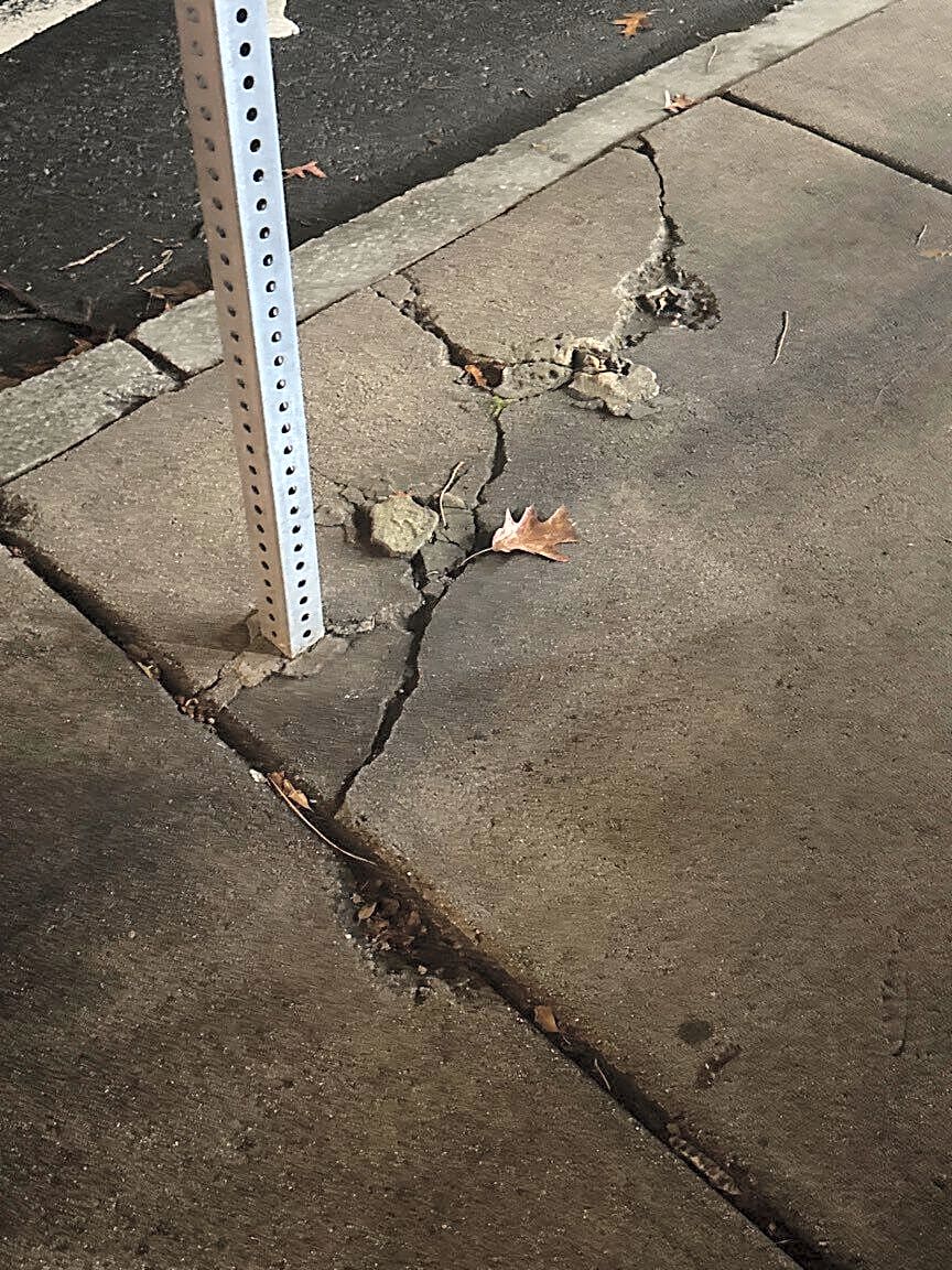 Image submitted with report