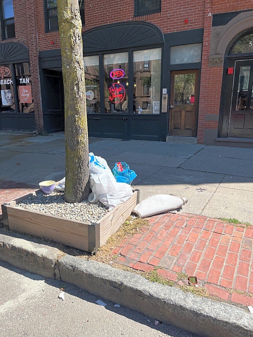Image submitted with report