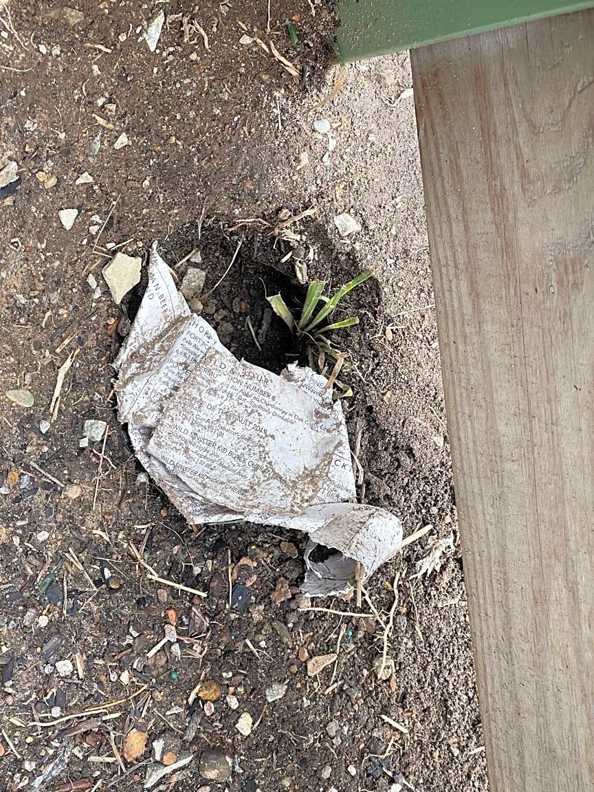 Image submitted with report