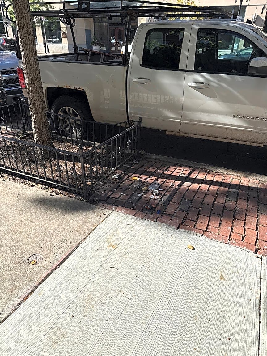 Image submitted with report