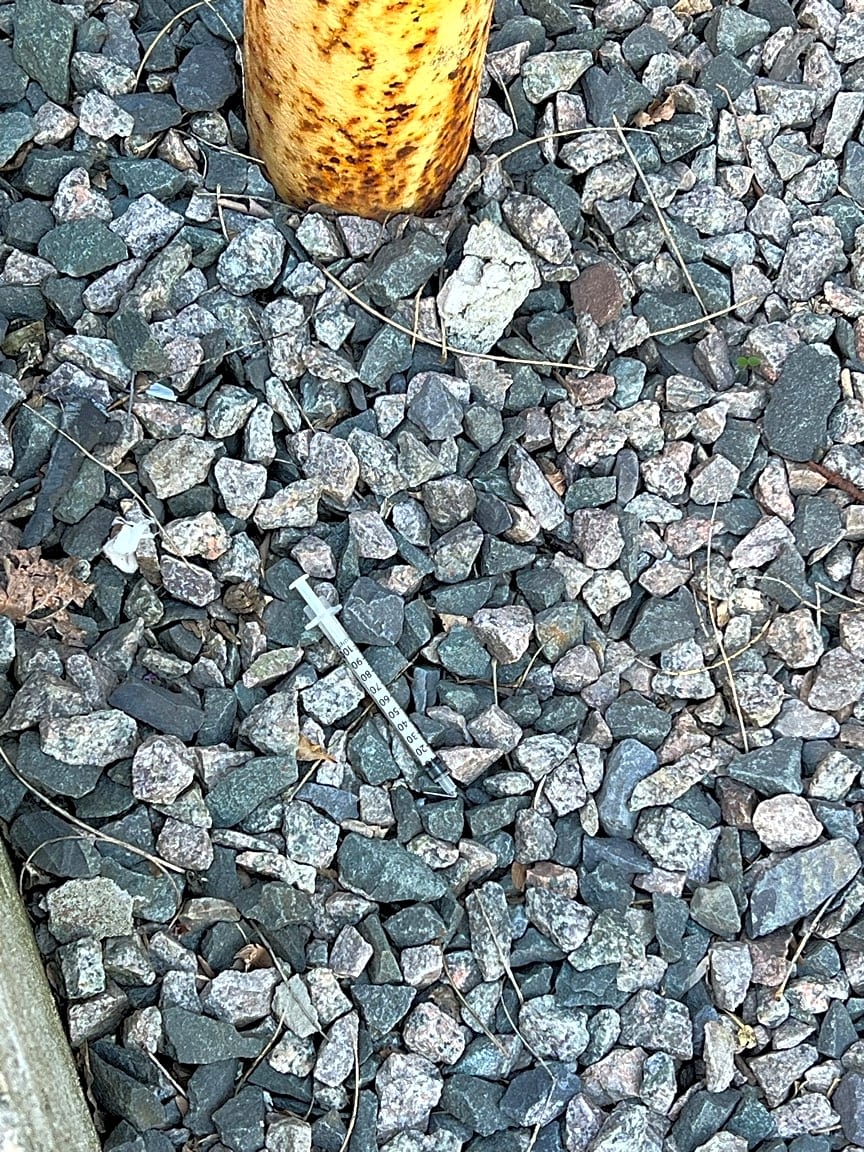 Image submitted with report