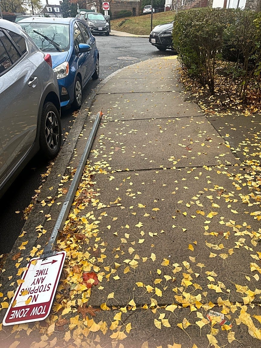 Image submitted with report