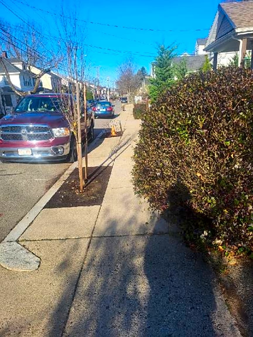 Image submitted with report