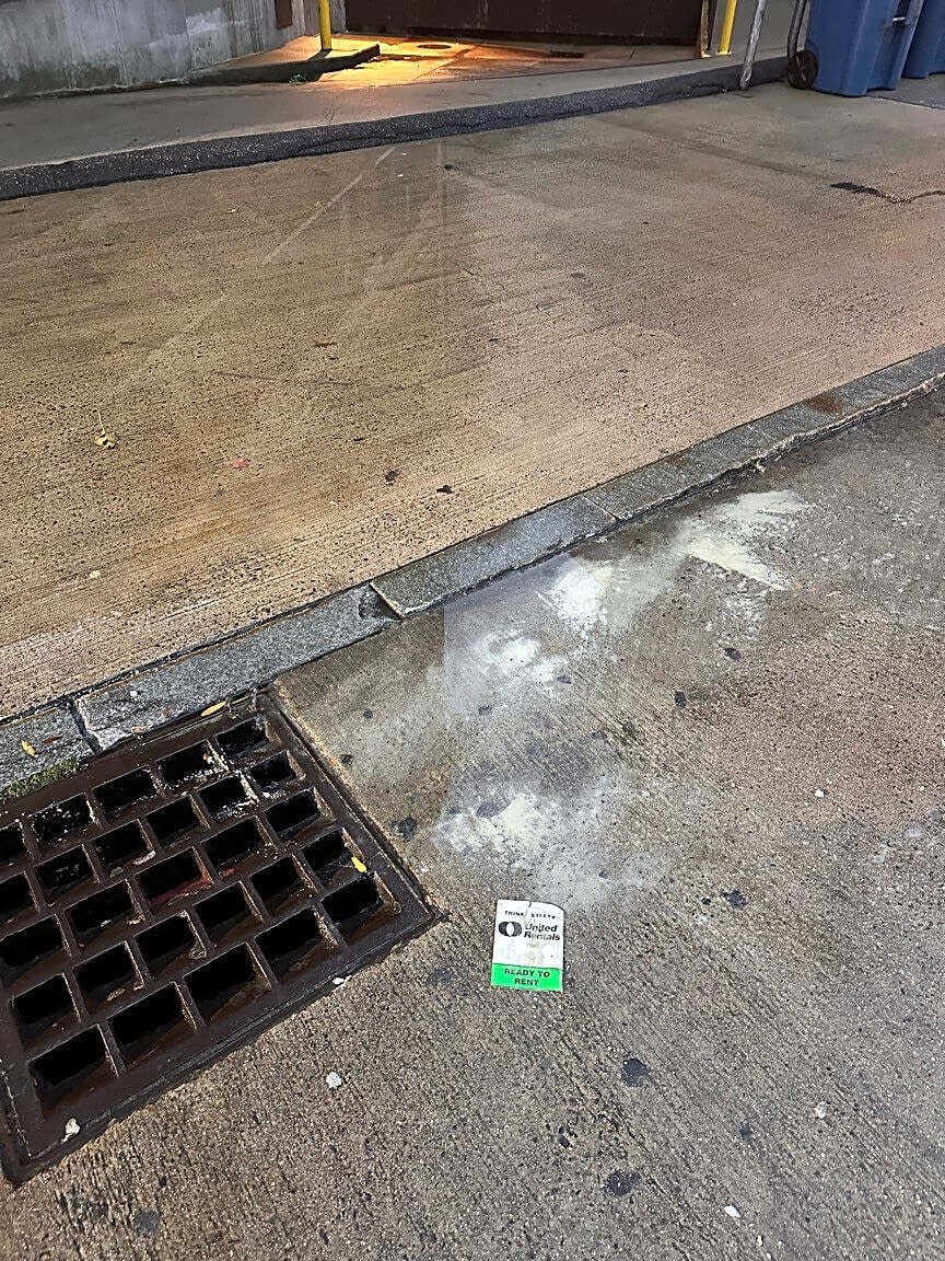 Image submitted with report