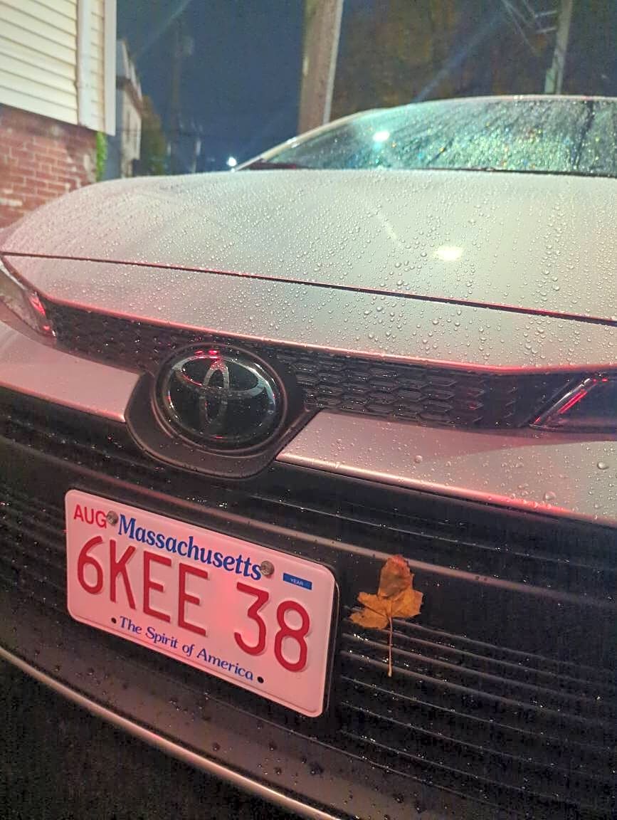 Image submitted with report