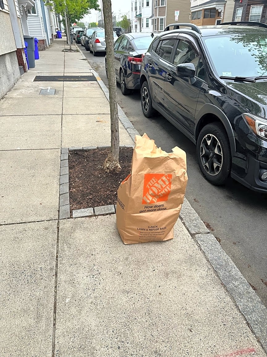 Image submitted with report