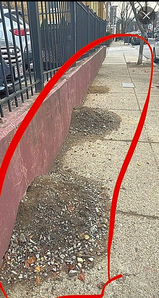 Image submitted with report