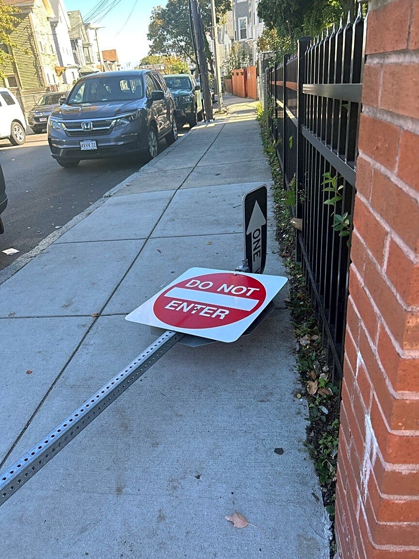 Image submitted with report