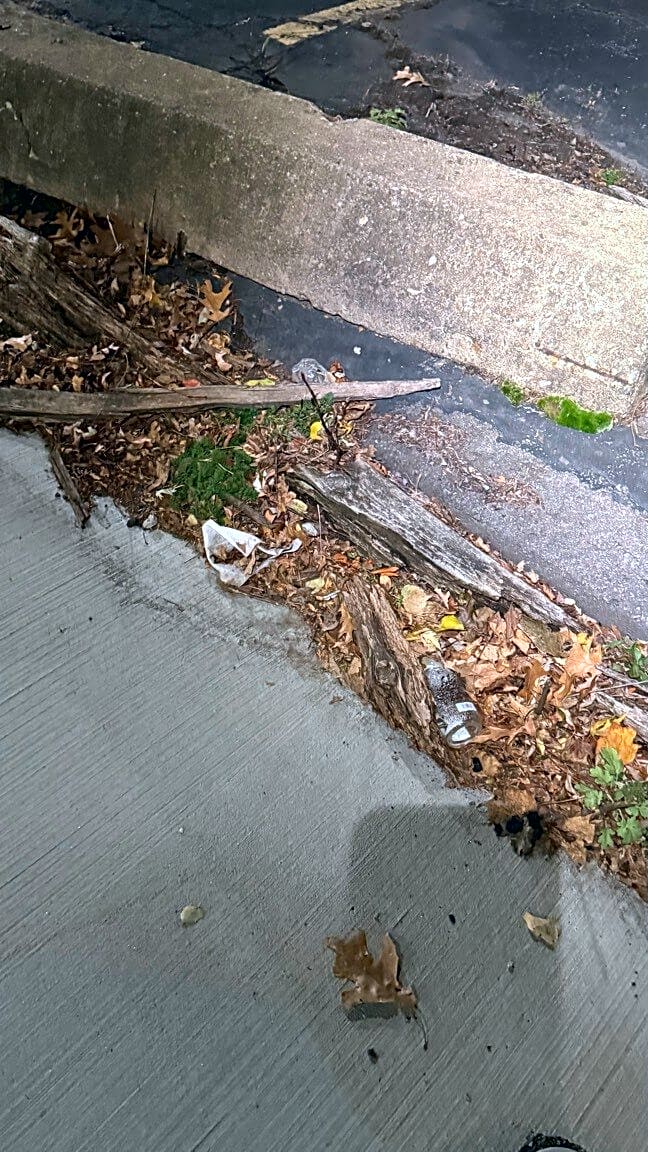 Image submitted with report