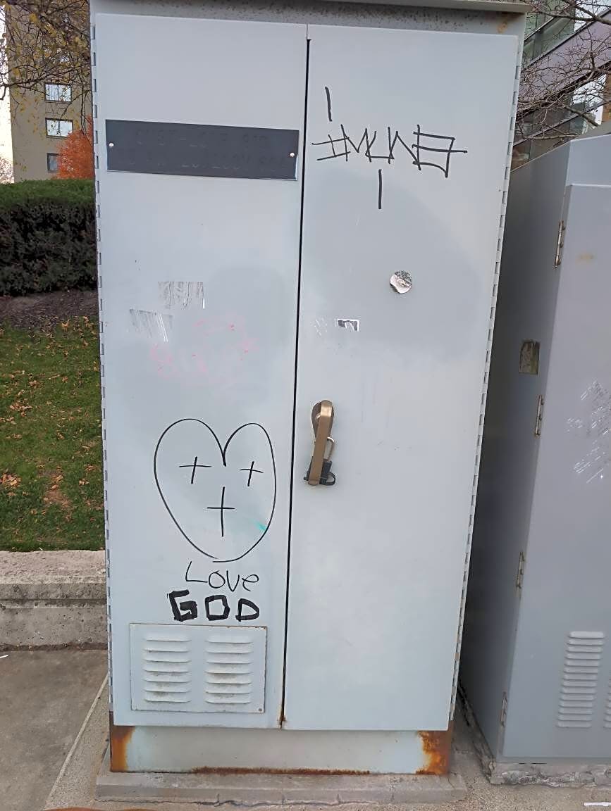 Image submitted with report