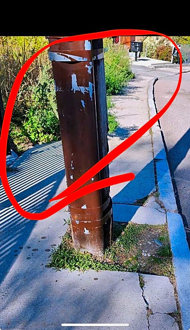 Image submitted with report