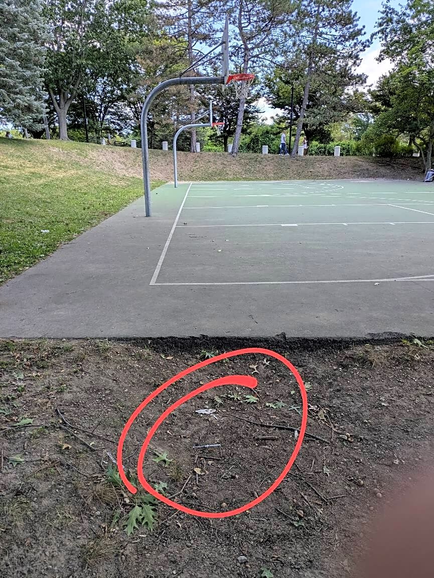 Image submitted with report