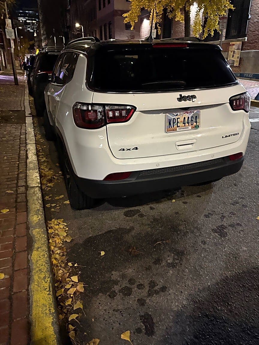 Image submitted with report