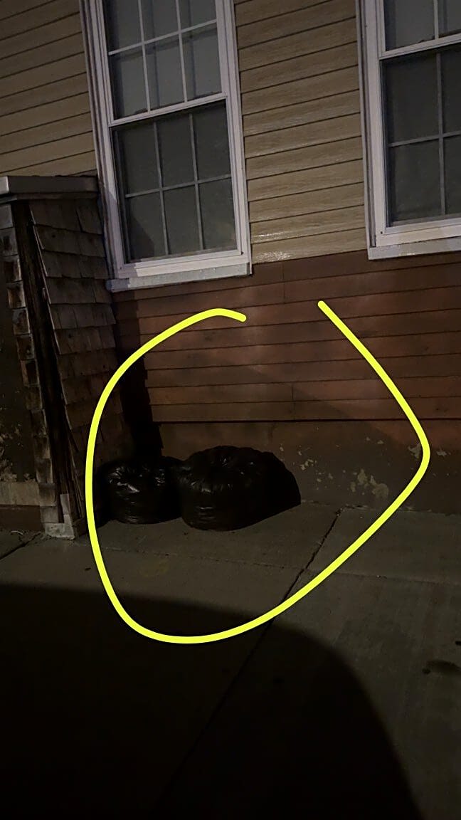 Image submitted with report