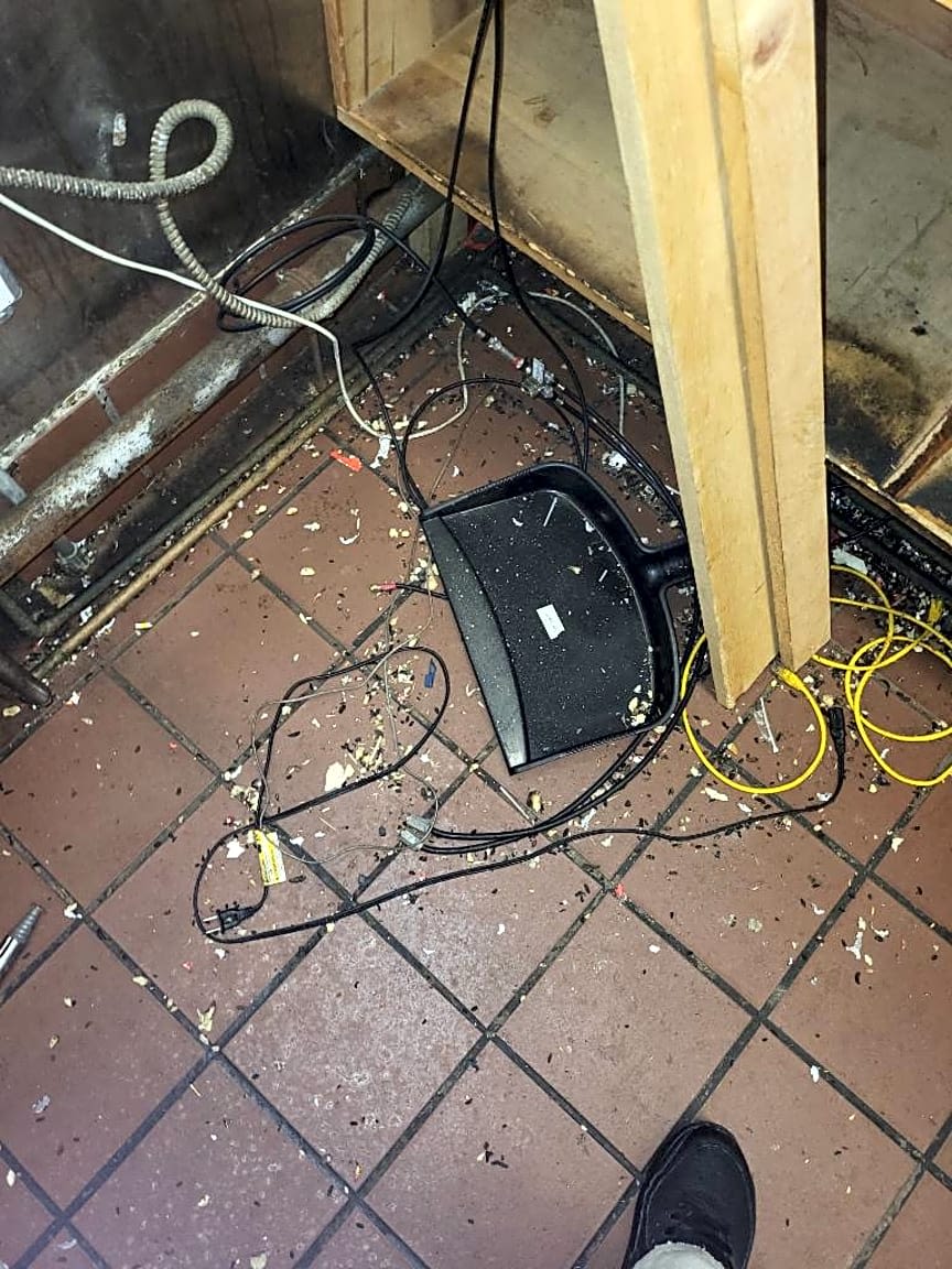 Image submitted with report