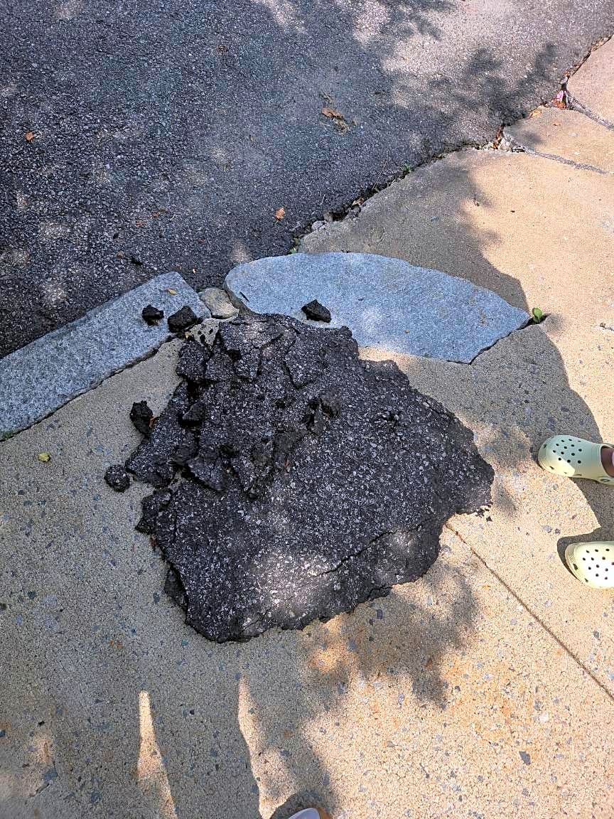 Image submitted with report