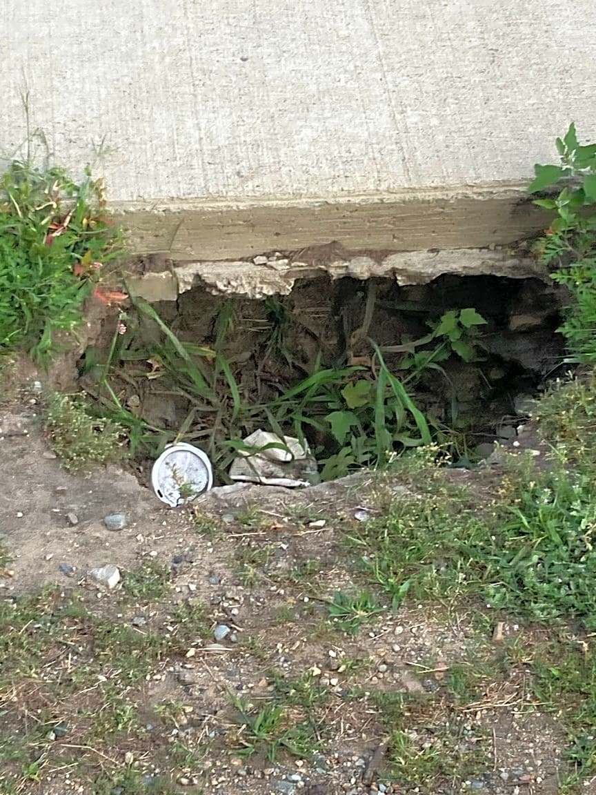 Image submitted with report