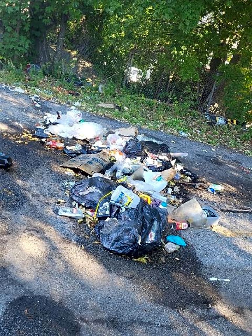 Image submitted with report