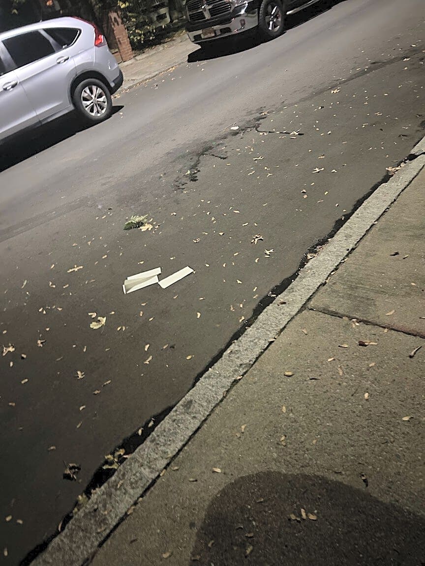 Image submitted with report