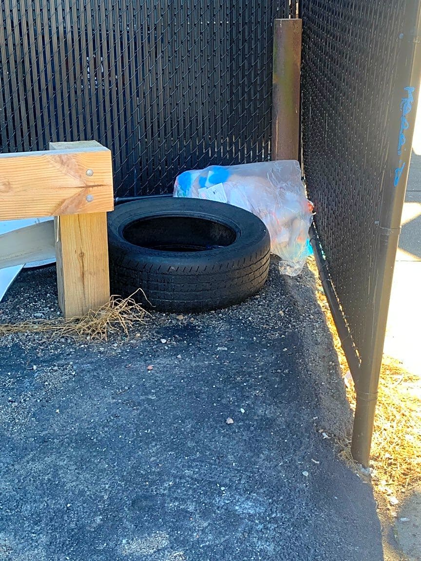 Image submitted with report