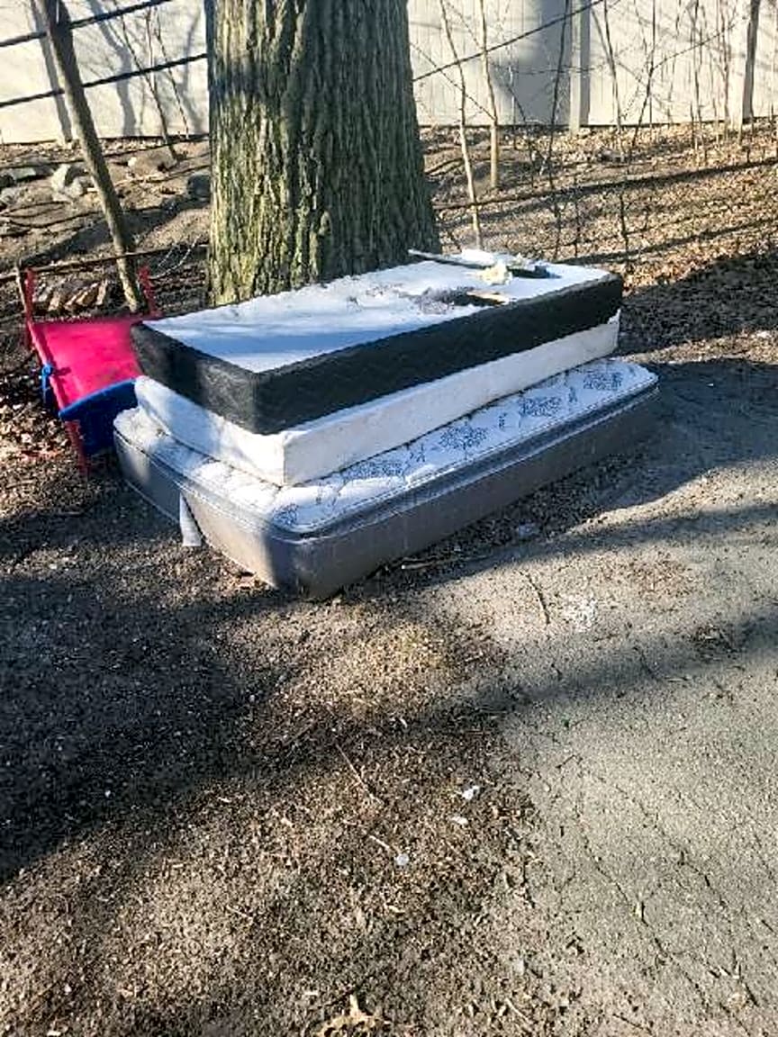 Image submitted with report