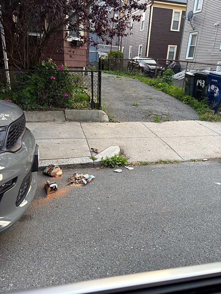Image submitted with report